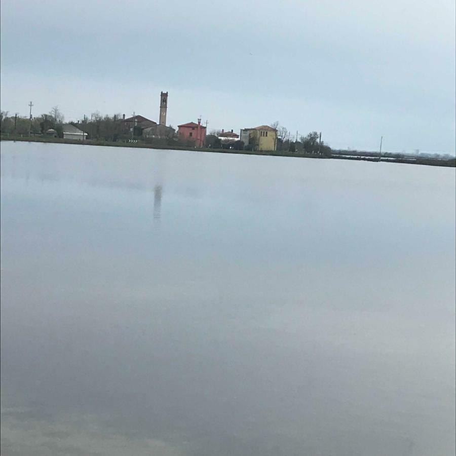 Appartamento A Cavallino Bagian luar foto